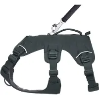 Ruffwear Web Master Hundesele