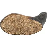 Trixie Fylt Buffalo Horn, 10-14 cm
