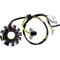 Sgr 04163067 Stator