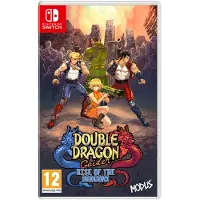 Nintendo Games Double Dragon Gaiden: Rise Of The Dragons