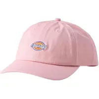Dickies Hardwick Cap