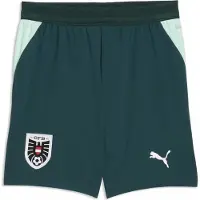 Puma Austria 2026 Shorts Youth, Clothing, Green Terrain/Mint Melt, 15-16Y