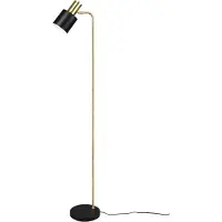 Reality Gulvlampe Adam, 1 lyskilde, svart/gull