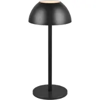 TRIO Ricardo LED oppladbar bordlampe, svart, høyde 30 cm, plast