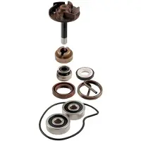 RMS Beauty Piaggio Beverly 250cc 2004/2005 100110220 Reparasjonssett For Vannpumpe