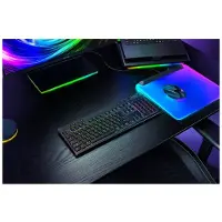Razer BlackWidow V4 HyperSpeed - Tastatur - lavprofil - full size - bakgrunnsbelyst - trådløs - USB-C, 2.4 GHz, Bluetooth - QWERTY - USA - tastsvit...