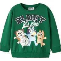 Name it Bluey Sweatshirt