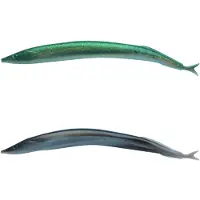 Berkley Silver Mud Gulp Alive Sand ål Myk Agn