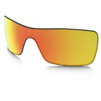 Oakley Mann Batwolf Replacement Lenses