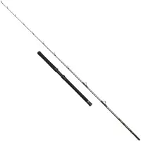 Penn Regiment Iv Halibuster Spinnestang