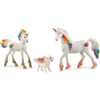 Schleich Bayala Magical Starter Set