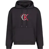 Calvin Klein Jeans Eu 350 Terry Graphic Hettegenser