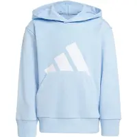 Adidas Essentials Big Logo Hettegenser
