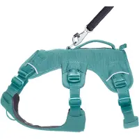 Ruffwear Web Master Hundesele