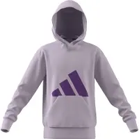 Adidas Essentials Hettegenser