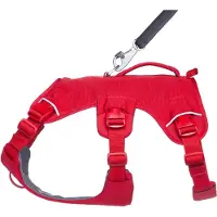 Ruffwear Web Master Hundesele