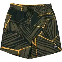 Quiksilver Everyday Printed Volley 14 Kids Boardshorts svart