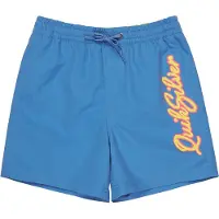 Quiksilver Everyday Malibu Volley 14 Kids Boardshorts blå