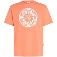O'Neill Musthave Graphic Kortarmet T-skjorte