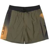 Quiksilver Everyday Holmes Volley 16 Kids Boardshorts mønster