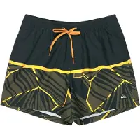 Quiksilver Everyday Poolsider 15´´ Badebukse