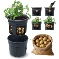 Prosperplast Potatoes 39.2x39.2x31.6 Cm Blomsterpotte