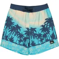 Quiksilver Everyday Printed Volley 14´´ Badebukse