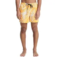 Quiksilver Everyday Printed Volley 15 Boardshorts gul