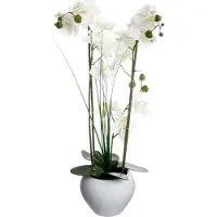 Generique Dekorativ plante orkidé i hvit potte 38x38x53 cm 136510B