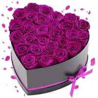Vevor Forever Flowers, 27 konserverte roser i hjerteformet eske, evige blomster udødelig bukett bursdagsgave til kvinner hennes kone mødre, jubileum, valentinsdag, jul, lilla