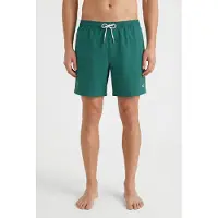 O'Neill Vert 16'' Boardshorts grønn