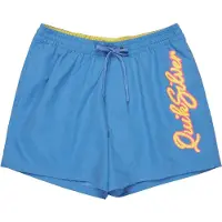 Quiksilver Everyday Malibu Volley 15 Boardshorts blå