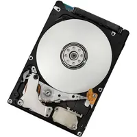 Lenovo - Harddisk - 500 GB - hot-swap - 2.5" SFF Slim - SATA 3Gb/s - 7200 rpm - for BladeCenter HS22; System x3400 M2; x3500 M2; x35XX M3; x3650 M2...