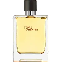 Hermès Paris Hermes Terre D'Hermes Perfume Spray 200ml