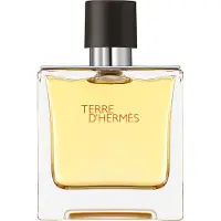 Hermès Paris Terre d'Parfum 75 ml