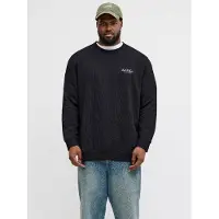Jack & Jones Archive Graphic Plus Size Collegegenser
