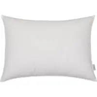 Hoie Hotellpute - Ekstra stor og fyldig dunpute - 70x100 cm -