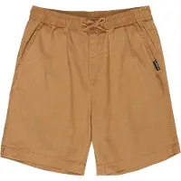 Quiksilver Taxer Kids Shorts brun
