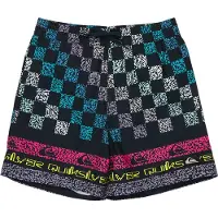 Quiksilver Everyday Printed Volley 14 Kids Boardshorts blå
