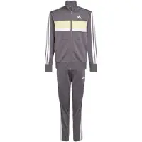 Adidas Seasonal Essentials Tiberio 3 Stripes Tricot Treningsdress