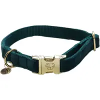 Kentucky Velvet Hundehalsbånd