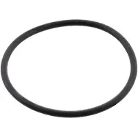 Electrolux pakning, ring, vaskemotor 4055341541