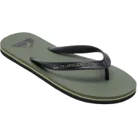 Quiksilver Molokai Core Flip-flops
