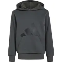 Adidas Essentials Hettegenser