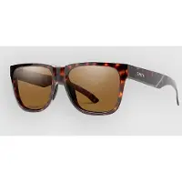 Smith Lowdown 2 Tortoise Solbriller brun