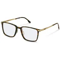 Rodenstock R7162 Square Briller