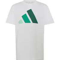 Adidas T-skjorte - 160 - Hvit/Clear Mint/Domstol Gre - - 10 år (140) - T-skjorte