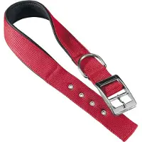 Ferplast Nylon Daytona C 30 Mm 55 Cm Hundehalsbånd