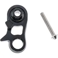 Campagnolo Snodo + Vite Servicesett