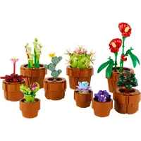 LEGO Botanicals 10329 Miniatyrplanter